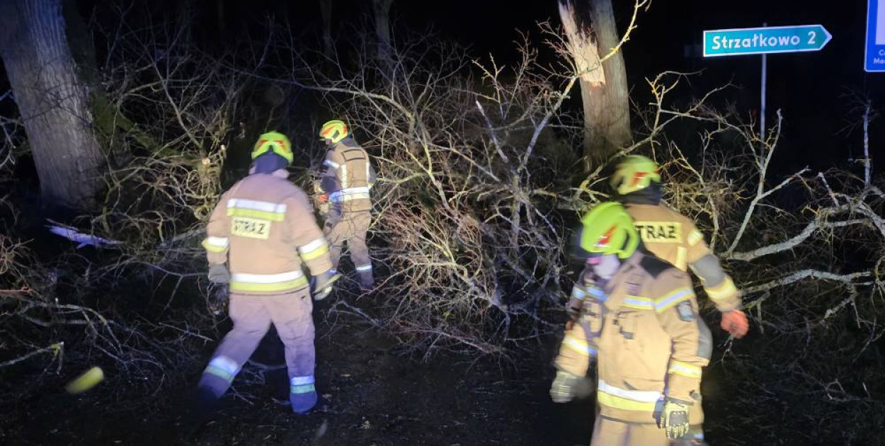 Silny wiatr w powiecie ostródzkim. Strażacy interweniowali 24 razy