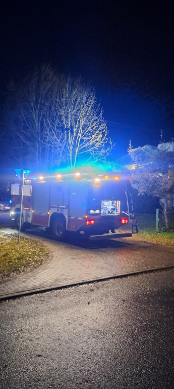 Silny wiatr w powiecie ostródzkim. Strażacy interweniowali 24 razy