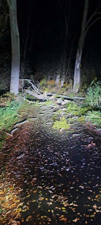 Silny wiatr w powiecie ostródzkim. Strażacy interweniowali 24 razy