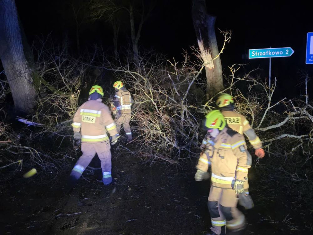 Silny wiatr w powiecie ostródzkim. Strażacy interweniowali 24 razy