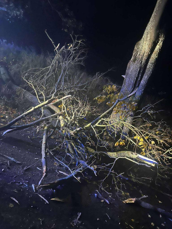 Silny wiatr w powiecie ostródzkim. Strażacy interweniowali 24 razy