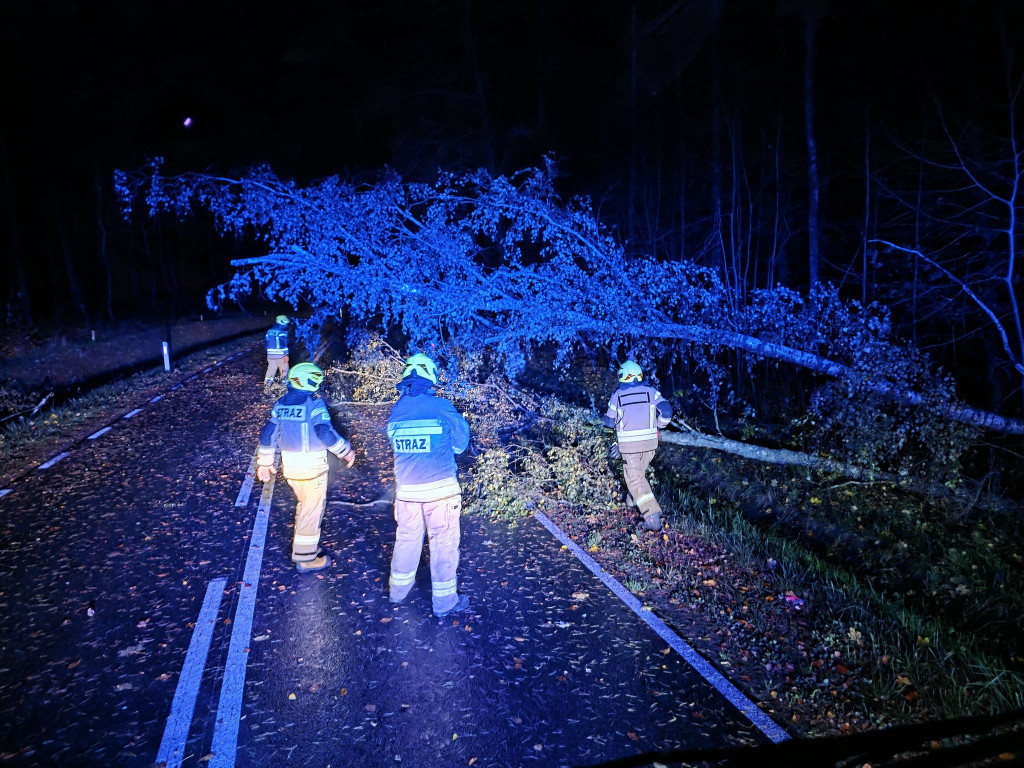 Silny wiatr w powiecie ostródzkim. Strażacy interweniowali 24 razy