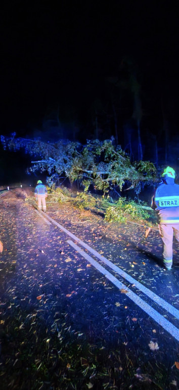 Silny wiatr w powiecie ostródzkim. Strażacy interweniowali 24 razy