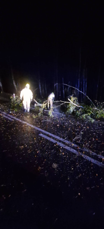 Silny wiatr w powiecie ostródzkim. Strażacy interweniowali 24 razy