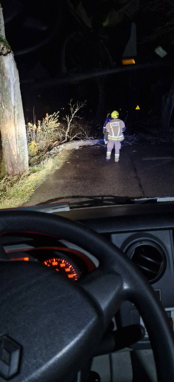 Silny wiatr w powiecie ostródzkim. Strażacy interweniowali 24 razy