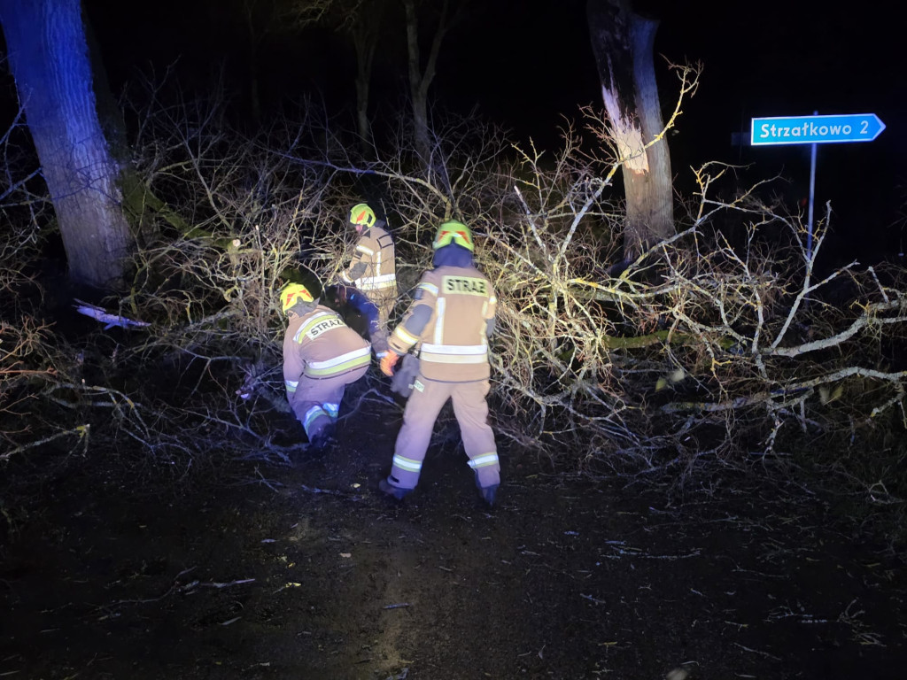 Silny wiatr w powiecie ostródzkim. Strażacy interweniowali 24 razy