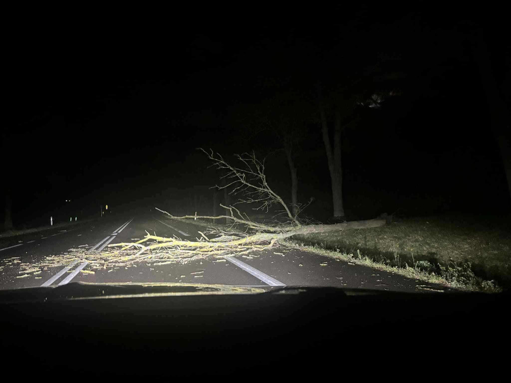 Silny wiatr w powiecie ostródzkim. Strażacy interweniowali 24 razy