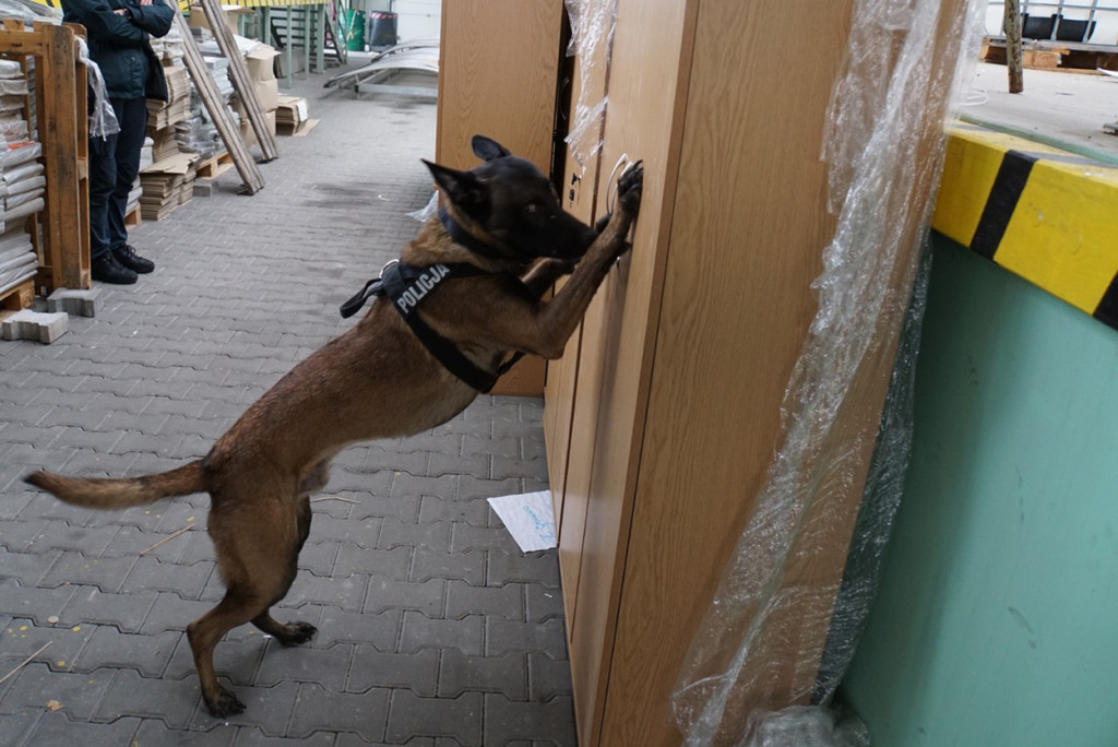 SZKOLENIE PRZEWODNIKÓW PSÓW SŁUŻB MUNDUROWYCH