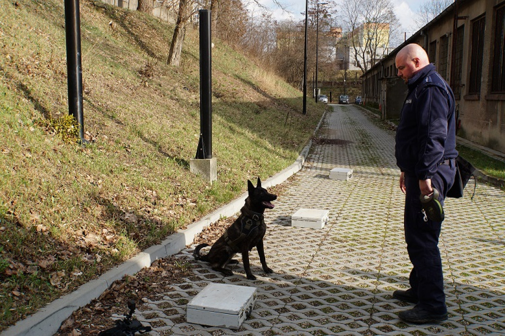 SZKOLENIE PRZEWODNIKÓW PSÓW SŁUŻB MUNDUROWYCH