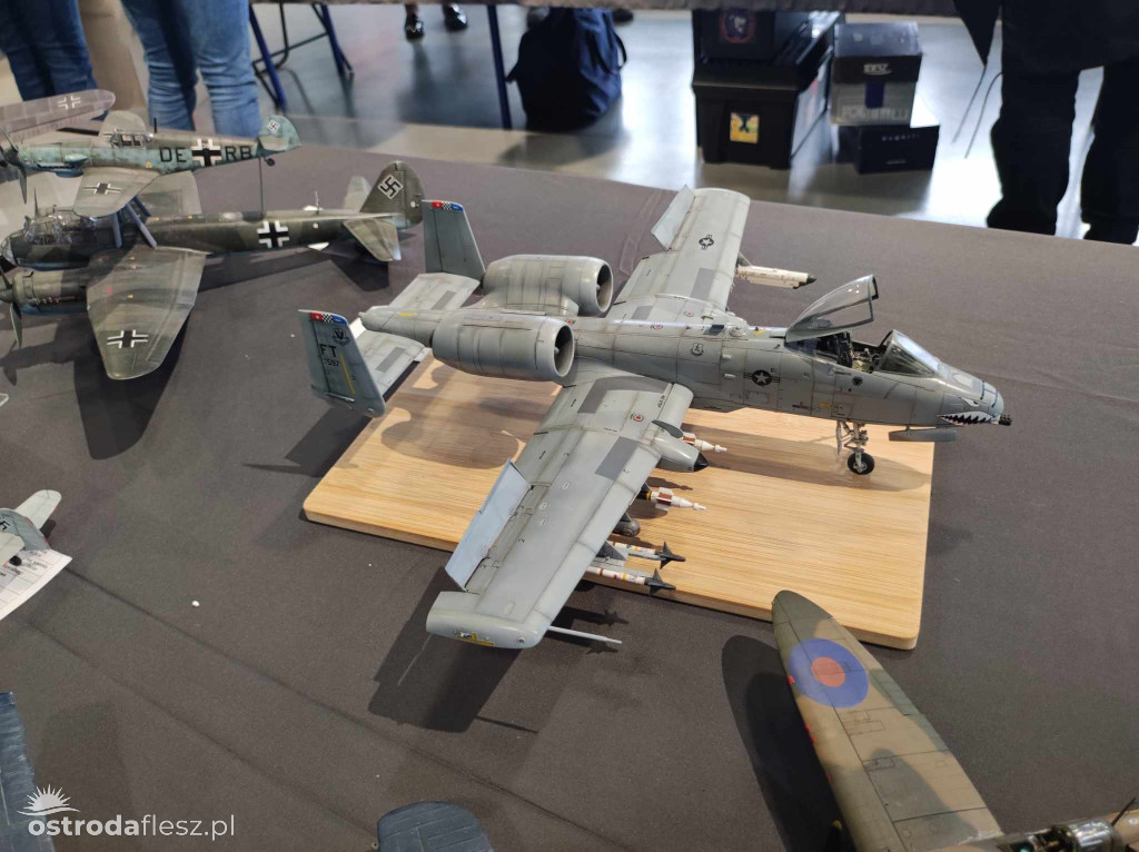 Olsztyn: Ponad 740 modeli na Festiwalu Modelarstwa