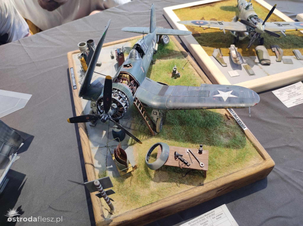 Olsztyn: Ponad 740 modeli na Festiwalu Modelarstwa