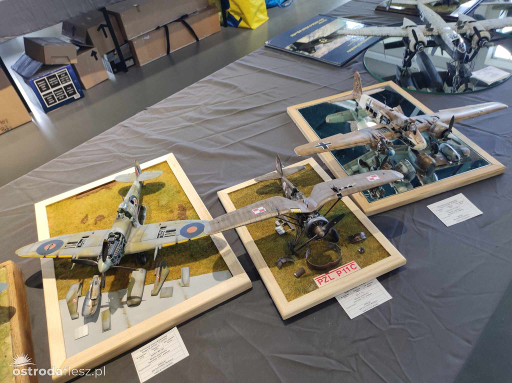 Olsztyn: Ponad 740 modeli na Festiwalu Modelarstwa