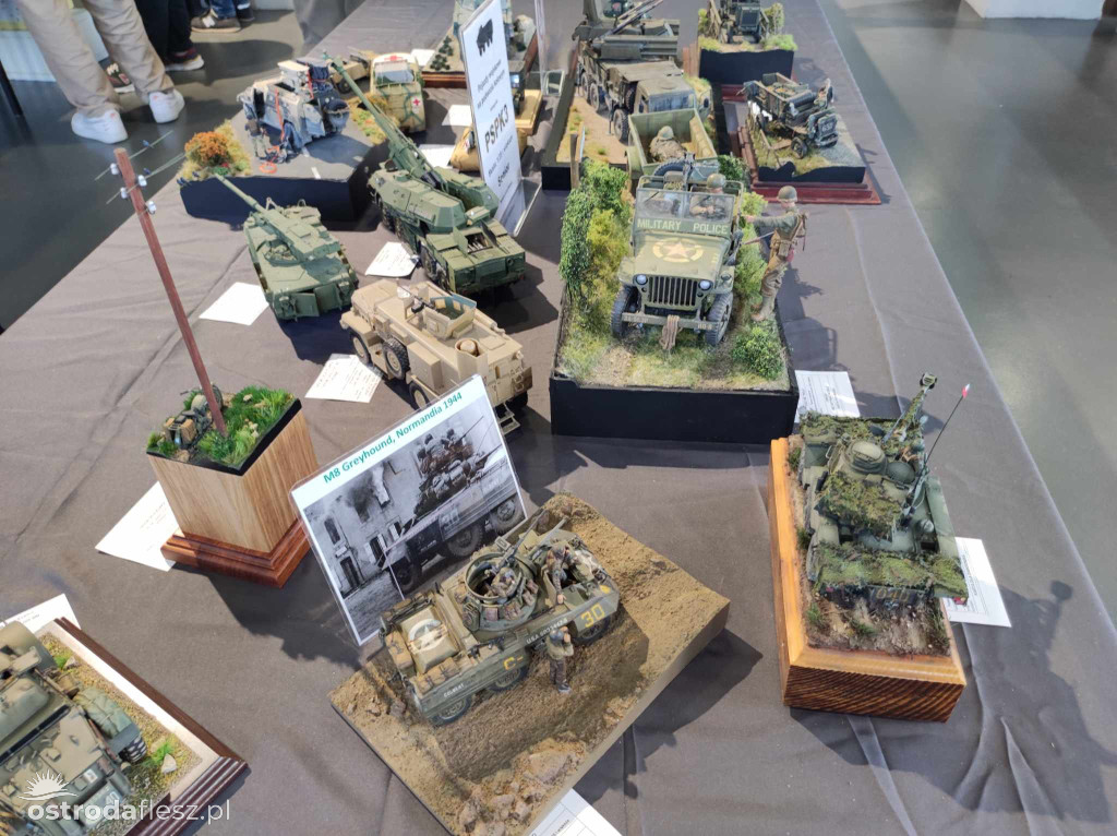 Olsztyn: Ponad 740 modeli na Festiwalu Modelarstwa
