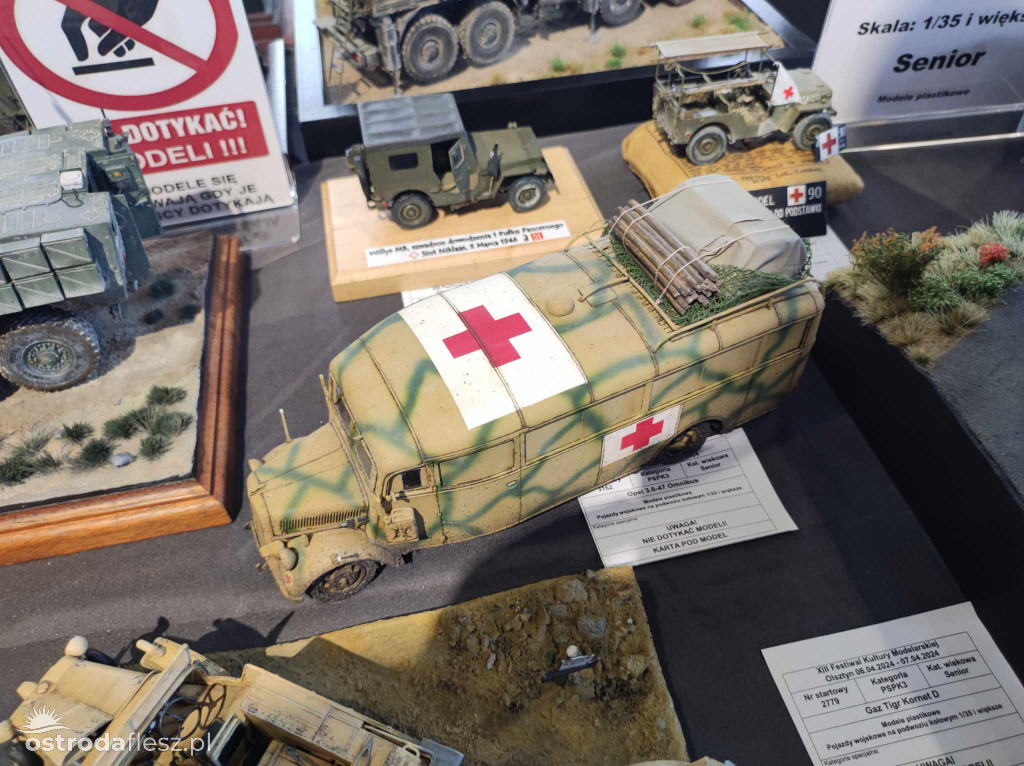 Olsztyn: Ponad 740 modeli na Festiwalu Modelarstwa
