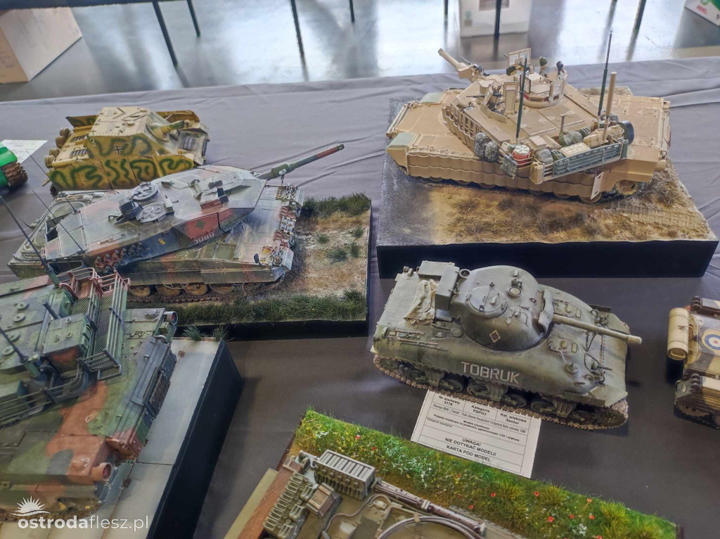 Olsztyn: Ponad 740 modeli na Festiwalu Modelarstwa
