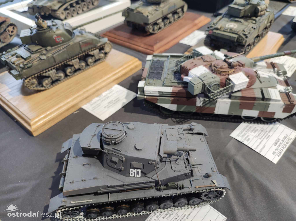 Olsztyn: Ponad 740 modeli na Festiwalu Modelarstwa