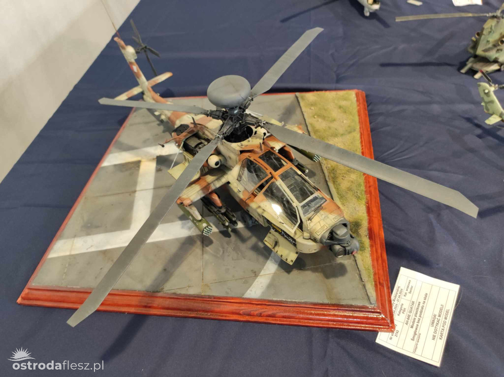 Olsztyn: Ponad 740 modeli na Festiwalu Modelarstwa