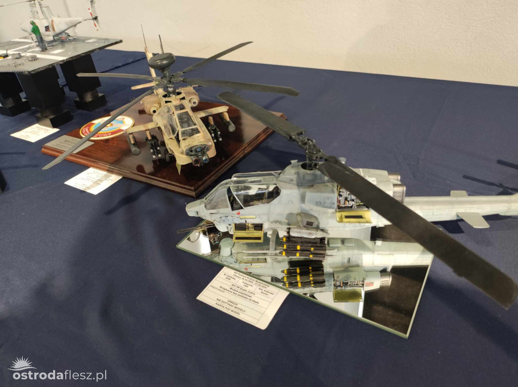 Olsztyn: Ponad 740 modeli na Festiwalu Modelarstwa