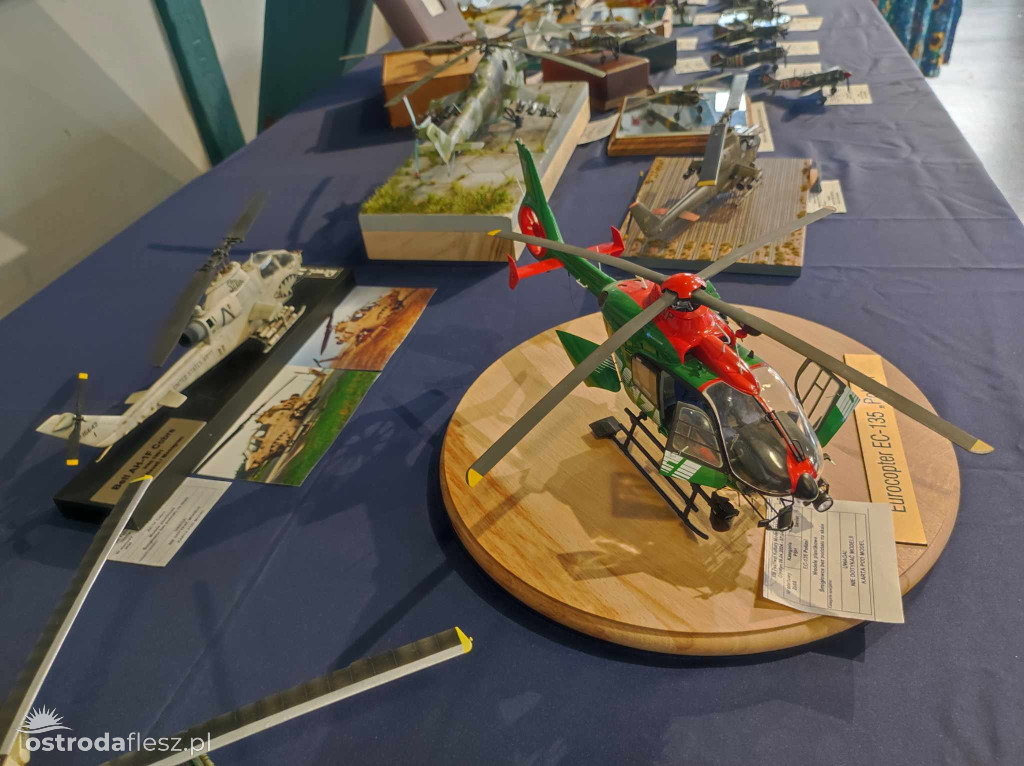 Olsztyn: Ponad 740 modeli na Festiwalu Modelarstwa
