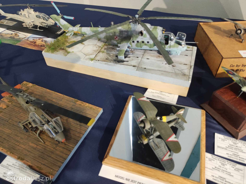 Olsztyn: Ponad 740 modeli na Festiwalu Modelarstwa