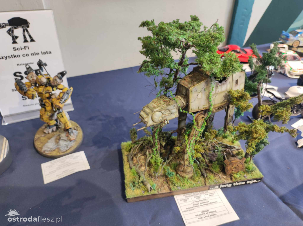 Olsztyn: Ponad 740 modeli na Festiwalu Modelarstwa