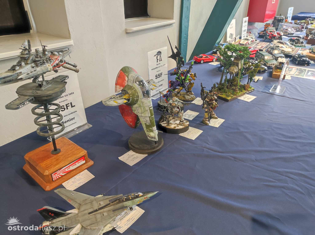 Olsztyn: Ponad 740 modeli na Festiwalu Modelarstwa