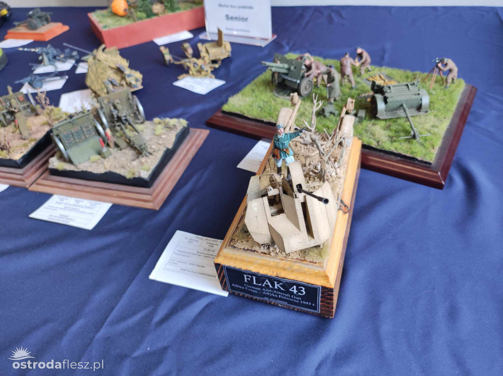 Olsztyn: Ponad 740 modeli na Festiwalu Modelarstwa