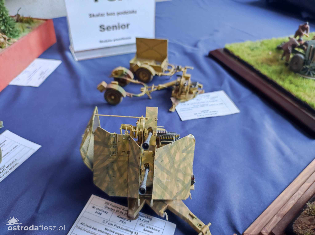 Olsztyn: Ponad 740 modeli na Festiwalu Modelarstwa