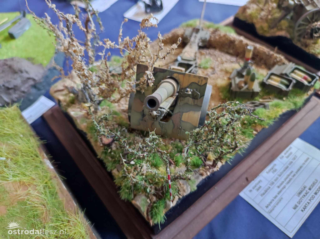 Olsztyn: Ponad 740 modeli na Festiwalu Modelarstwa