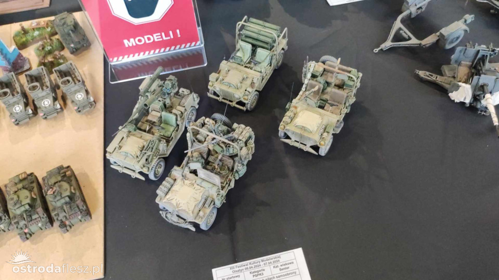 Olsztyn: Ponad 740 modeli na Festiwalu Modelarstwa