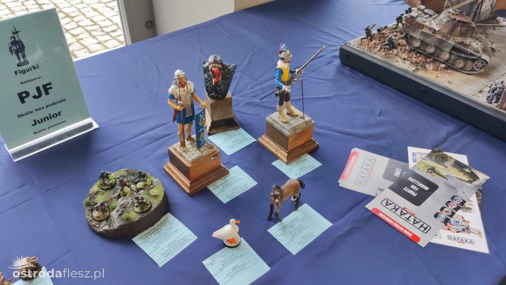 Olsztyn: Ponad 740 modeli na Festiwalu Modelarstwa