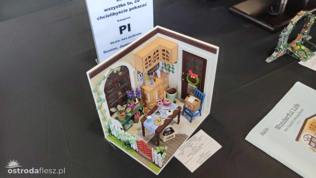 Olsztyn: Ponad 740 modeli na Festiwalu Modelarstwa
