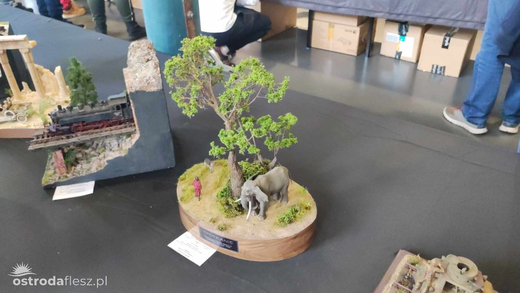 Olsztyn: Ponad 740 modeli na Festiwalu Modelarstwa