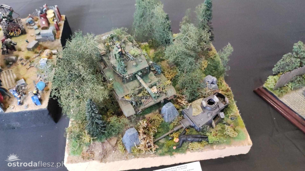 Olsztyn: Ponad 740 modeli na Festiwalu Modelarstwa