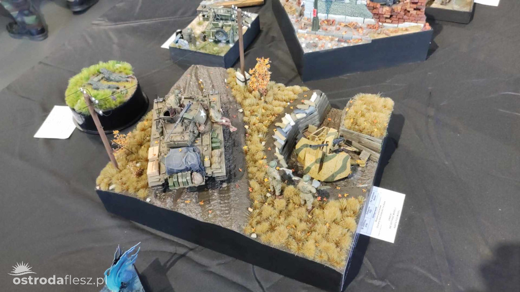 Olsztyn: Ponad 740 modeli na Festiwalu Modelarstwa