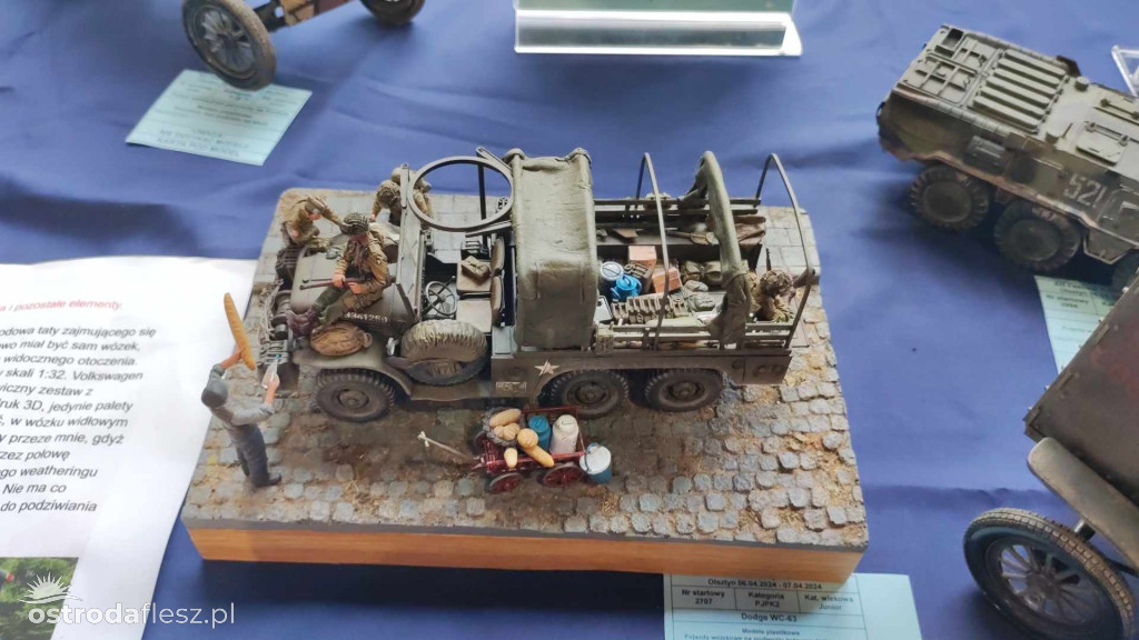 Olsztyn: Ponad 740 modeli na Festiwalu Modelarstwa