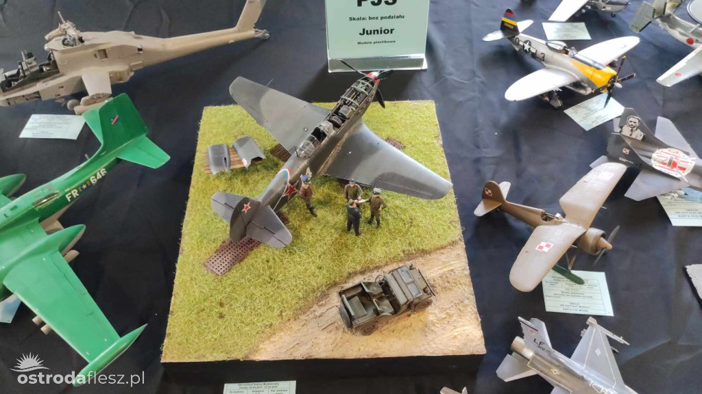 Olsztyn: Ponad 740 modeli na Festiwalu Modelarstwa