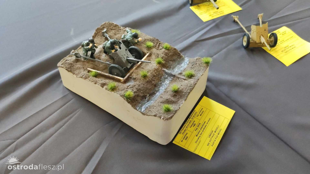 Olsztyn: Ponad 740 modeli na Festiwalu Modelarstwa