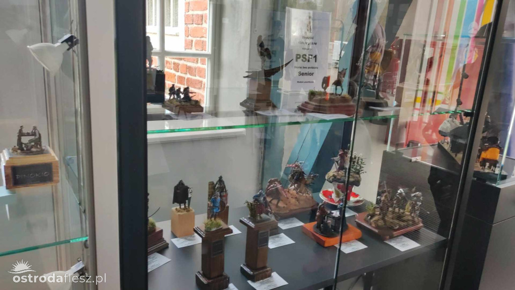 Olsztyn: Ponad 740 modeli na Festiwalu Modelarstwa