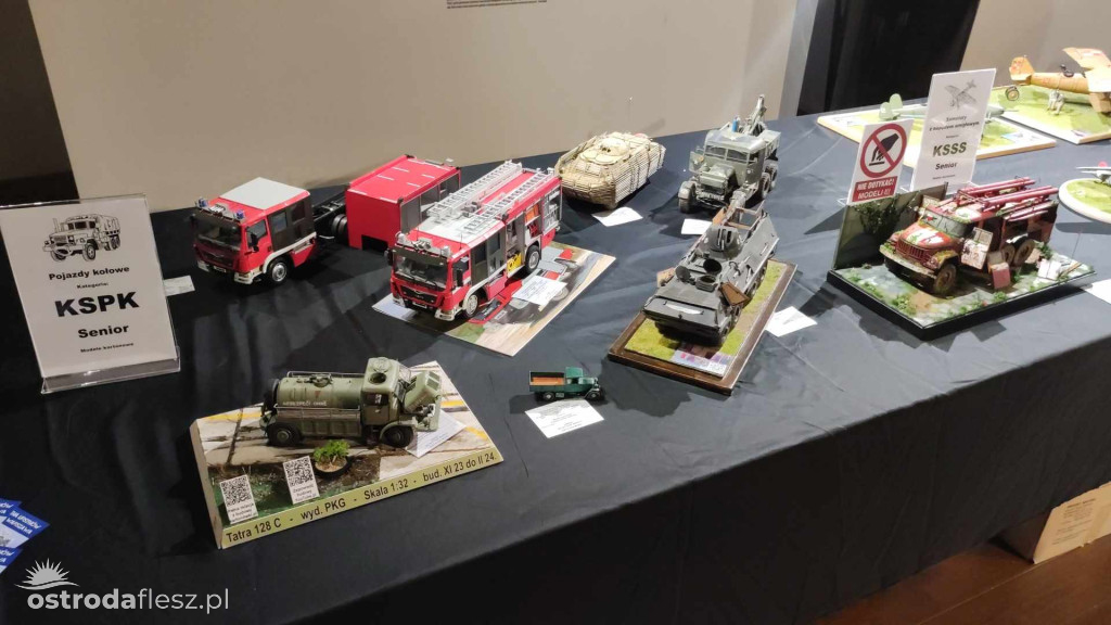 Olsztyn: Ponad 740 modeli na Festiwalu Modelarstwa
