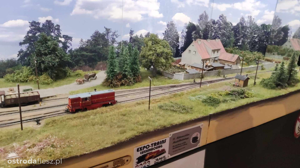 Olsztyn: Ponad 740 modeli na Festiwalu Modelarstwa