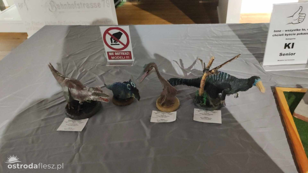 Olsztyn: Ponad 740 modeli na Festiwalu Modelarstwa