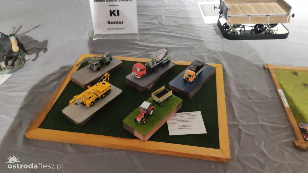 Olsztyn: Ponad 740 modeli na Festiwalu Modelarstwa