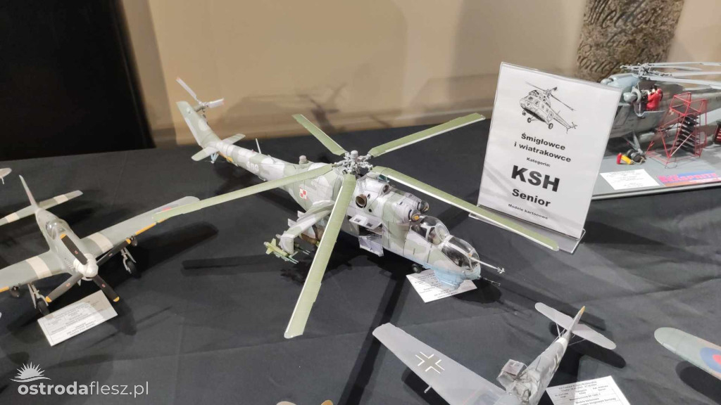 Olsztyn: Ponad 740 modeli na Festiwalu Modelarstwa