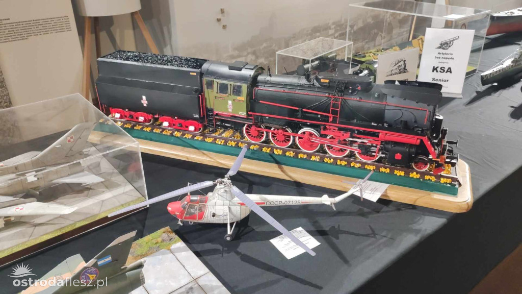 Olsztyn: Ponad 740 modeli na Festiwalu Modelarstwa