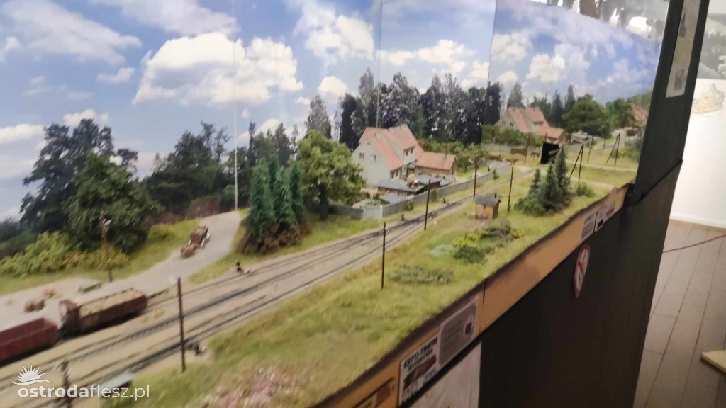 Olsztyn: Ponad 740 modeli na Festiwalu Modelarstwa