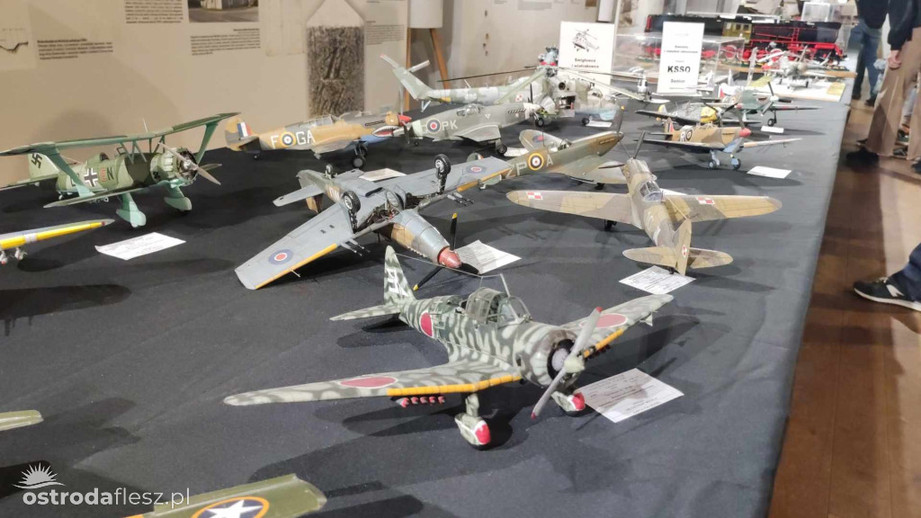 Olsztyn: Ponad 740 modeli na Festiwalu Modelarstwa