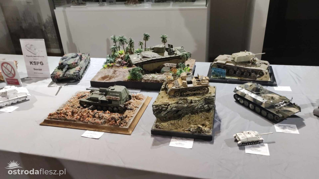Olsztyn: Ponad 740 modeli na Festiwalu Modelarstwa
