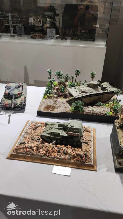 Olsztyn: Ponad 740 modeli na Festiwalu Modelarstwa