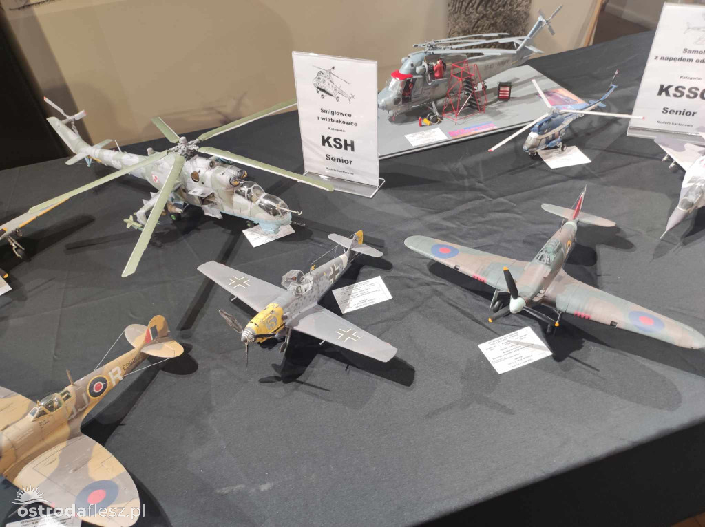 Olsztyn: Ponad 740 modeli na Festiwalu Modelarstwa